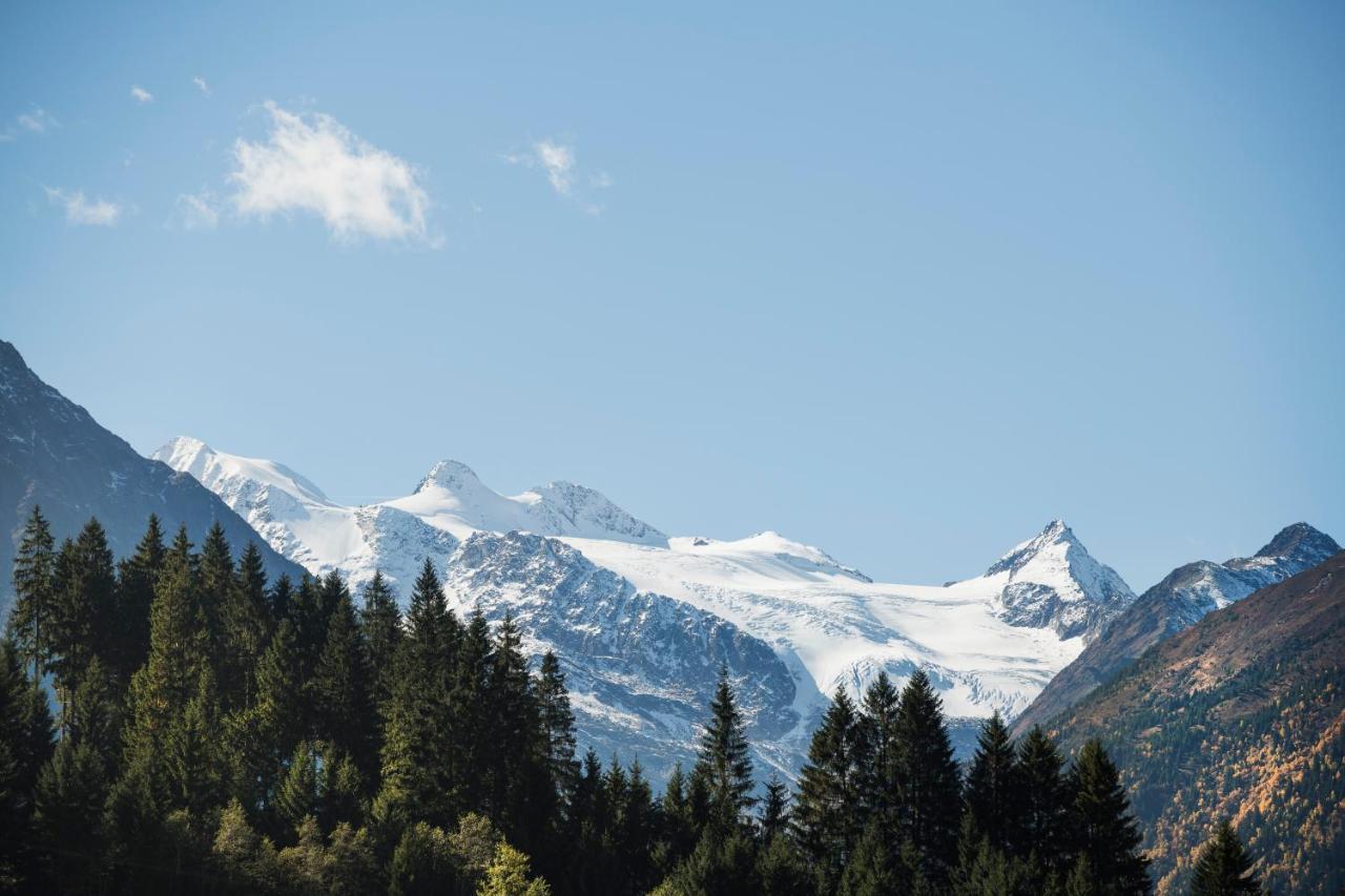 Living & Spa Vitalhotel Edelweiss Neustift im Stubaital Chambre photo